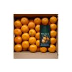 ふるさと納税 果物類 みかん 大阪府 和泉市 隠れ名産地　和泉みかん温州早生(小玉中玉大玉サイズミックス)　10kg 1535225