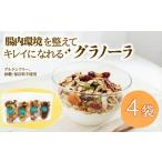 ヴィーガン 鵠沼グラノーラ 1週間お試しセット