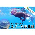 体験チケット 三浦半島 城ヶ島の海でスノーケリング