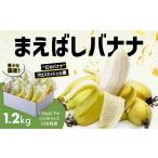 果物類 テレビで話題騒然 バナナ 1.2kg