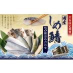 魚貝類 全6回定期便 旬の美味しさを感じる しめさば3種詰め合わせ