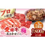 希少な ブランド牛 愛姫牛 店主におまかせ旬セット 800g