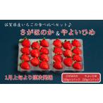ショッピングふるさと納税 いちご ふるさと納税 いちご 佐賀県 佐賀市 佐賀県産いちご さがほのか&やよいひめセット：B100-040