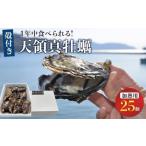 ふるさと納税 牡蠣 生牡蠣 香川県 小豆島町 小豆島 天領真牡蠣 (殻付き加熱用) 25個セット