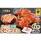 カニ ずわいガニ 冷蔵 旬のセイコガニ 小 6杯