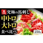 ふるさと納税 馬肉 熊本県 水俣市 国産 熊本 馬刺し 霜降り中トロ・大トロ食べ比べセット 計250g