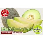 ふるさと納税 メロン メロン青肉 熊本県 多良木町  2026年4月下旬〜順次発送 先行予約 肥後グリーンメロン 2玉〜4玉（約4kg以上）多良木町 熊本県 肥後グリー…