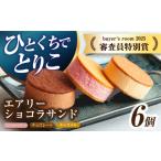 菓子 アイス エアリーショコラサンド 6個入り