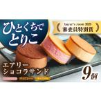 菓子 アイス エアリーショコラサンド 9個入り
