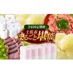 全6回定期便 まるごとセット お楽しみ 土佐文旦