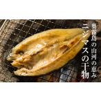 鮭 サーモン ニジマスの干物の天然塩と魚醤で味付けた川魚