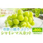 ふるさと納税 ぶどう マスカット 岡山県 浅口市 奇跡の越冬ぶどう シャインマスカット 1房 (800g以上) 五果苑《2025年11月上旬-2026年3月末頃出荷》越冬ぶどう…