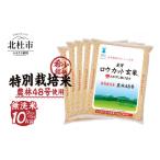 ふるさと納税 玄米 山梨県 北杜市  1月発送 令和7年度産米 金芽ロウカット玄米特別栽培米農林48号 10kg(2kg×5) 2026年1月発送