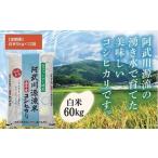 ふるさと納税 米 コシヒカリ 山口県 山口市 A094 定期便 阿武川源流米コシヒカリ白米60kg(5kg×12回)