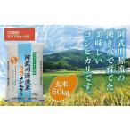 ふるさと納税 玄米 山口県 山口市 A095 定期便 阿武川源流米コシヒカリ玄米60kg(10kg×6回)