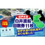 シーズンパス 回数券 白井渡船回数券 利用券11枚組