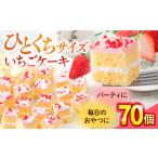 ケーキ カステラ フルーツケーキ 訳あり いちごケーキ