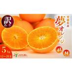 ふるさと納税 みかん・柑橘類 オレンジ 愛媛県 愛南町  訳あり みかん職人の夢おれんじ 5kg 柑橘 果物 フルーツ オレンジ 愛媛 みかん職人武田屋 蜜柑 愛果28…
