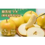 ふるさと納税 りんご 青森県 平川市 10~12月発送 贈答用トキ約5kg(糖度証明書付き) 青森県 平川市 那由多のりんご園 贈答 青森 青森県産 平川 りんご リ…