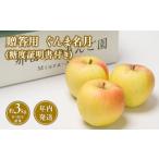 ふるさと納税 りんご 青森県 平川市 11~12月発送 贈答用ぐんま名月約3kg(糖度証明書付き) 青森県 平川市 那由多のりんご園 贈答 青森 青森県産 平川 りんご…