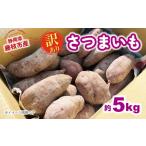 野菜類 サツマイモ 2026年11月~ 予定