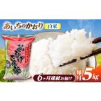 米 6回定期便 あいちのかおり 白米 5kg×6ヵ月