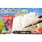 米 12回定期便 あいちのかおり 白米 5kg×12ヵ月
