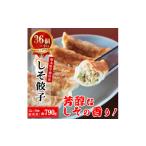 ふるさと納税 餃子 栃木県 宇都宮市 餃子専門店 宇都宮 悟空 しそ餃子 22g×36個入｜ 餃子 冷凍 ぎょうざ ギョーザ 紫蘇 シソ 肉たっぷり 肉多め 人気 名物 行…