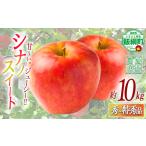 りんご シナノスイート 秀 特秀 10kg