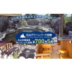 温泉 サウナ スパ利用券 立山グリーンパーク吉峰