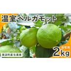 みかん 柑橘類 産温室ベルガモット 生果実 2kg入り