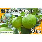みかん 柑橘類 産温室ベルガモット 生果実 9kg入り