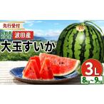 fu.... налог арбуз Nagano префектура Matsumoto город предшествующий прием :2026 год отправка Matsumoto город волна рисовое поле производство большой шар ...3L(8kg~9kg)I Shinshu Matsumoto город Nagano префектура запад .... фрукты большой шар арбуз f...