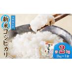 米 コシヒカリ 令和8年産 新米 計2kg