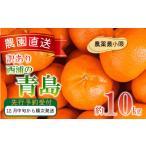 ふるさと納税 果物類 みかん 静岡県 沼津市 訳あり みかん 青島 10kg 西浦 蜜柑 柑橘 オレンジ 木負観光みかん園 ( 数量限定 みかん 果物 みかん フルーツ み…