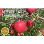 ふるさと納税 りんご 青森県 平川市 12月発送 青森県産 訳あり サンふじ 約3kg 青森県 平川市 なるみ農園 家庭用 訳アリ 青森 青森県産 平川 りんご リンゴ …