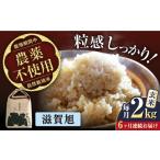令和8年産 新米 6回定期 ミルキークイーン 2kg