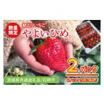 ふるさと納税 いちご 茨城県 水戸市 2026年1月中旬以降発送 数量限定 朝採れ いちご やよいひめ特選2パック 茨城県共通返礼品/石岡市 果物 くだもの フルー…