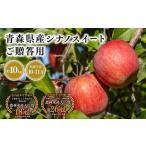 りんご 2026年産 10月 用シナノスイート10kg