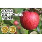 ふるさと納税 りんご 青森県 平川市 2025年産11月〜4月発送 贈答用葉とらずサンふじ5kg 青森県 平川市 そと川りんご園 11月〜4月発送 贈答 青森 青森県…