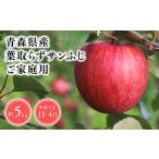 ふるさと納税 りんご 青森県 平川市 2025年産11月〜4月発送 訳あり 家庭用葉とらずサンふじ5kg 青森県 平川市 そと川りんご園 11月〜4月発送 家庭用 …