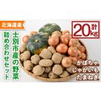 野菜詰め合わせ 合計20kg