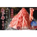 ふるさと納税 牛肉 熊本県 西原村 5回 定期便 くまもと あか牛 切り落とし 1.2kg×5回 計6kg 肉 牛肉 和牛 ブランド牛 あか牛 赤牛 赤身 切落し 冷凍