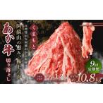 くまもと あか牛 切り落とし 1.2kg×9回