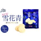 焼菓子 チョコレート クッキー 新感覚ショコラ