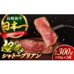 ふるさと納税 牛肉 ヒレ 長崎県 新上五島町 長崎和牛 シャトーブリアン 約150g×2枚 計300g以上 ／ 牛肉 肉 牛 和牛 国産牛 ステーキ 合同会社　肉のマルシン …