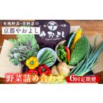 セット 詰合せ 6回定期便 野菜詰め合わせ