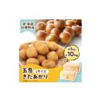ふるさと納税 野菜類 玉ねぎ 北海道 斜里町 知床の大自然が育む黄金色の芋「きたあかり」・知床の恵み凝縮「玉葱」10kgセット 1537872