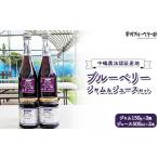果汁飲料 ブルーベリー 2026年 ]ブルーベリー