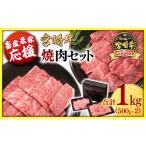 ふるさと納税 牛肉 焼肉・バーベキュー 宮崎県 西都市 畜産農家応援 宮崎牛 赤身&肩ロース 食べ比べ焼肉セット1kg (500g ×2)4等級以上 ミヤチク 内閣総…